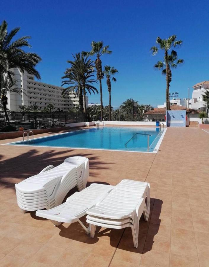 Home2Book Modern Las Americas Pool&Terrace アロナ エクステリア 写真